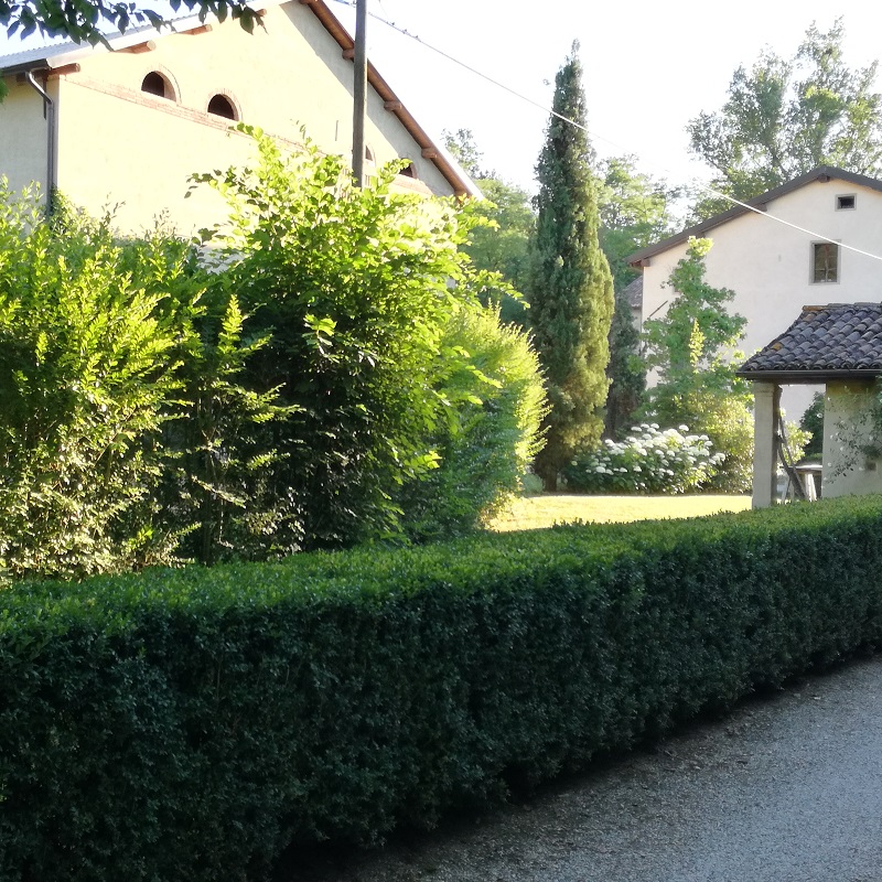 Borgo Antico Le Viole