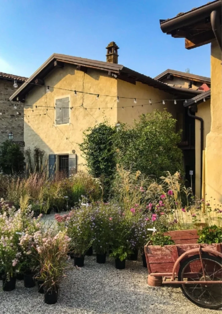 Borgo Antico Le Viole, Eventi, Matrimoni, Ricevimenti, Rio Viole, Telarolo di Castellarano, Reggio Emilia, Borgo Plantarum